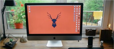 Quadra Website Design