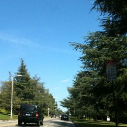 Los Feliz