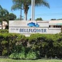 Bellflower